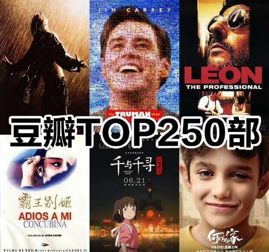 豆瓣TOP250高分电影合集 1080P蓝光 国英多音轨 内封多条特效字幕【完美收藏版】