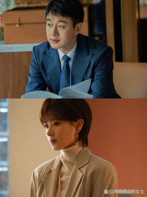 玫瑰的故事 (2024) 全38集【1080P 无广告无台标无字幕 刘亦菲佟大为林更新万茜】